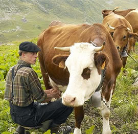Visit to the Abérieu farm
