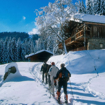 Le coup de cœur en raquettes