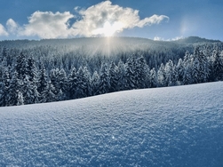 Cordon sous la neige Cordon sous la neige