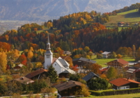 Cordon en automne Cordon en automne