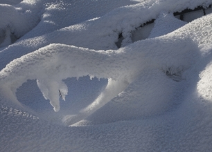 Branche enneigée - Cordon Branche enneigée - Cordon
