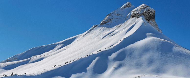 Croise Baulet Cordon