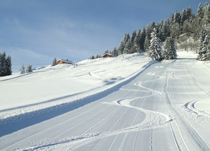 Sur le haut du domaine de Cordon
