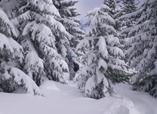 Traces sur la neige - Cordon