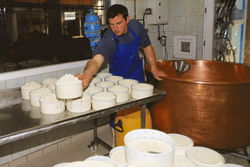 Albert nous fait découvrir la fabrication du fromage