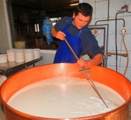 Visite à la ferme Cordon