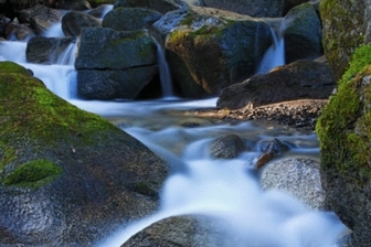 Paysage à Cordon Paysage à Cordon